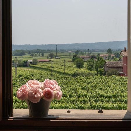 Fiori&Vigne Di Cecilia Marcon Villa Farra di Soligo Eksteriør bilde