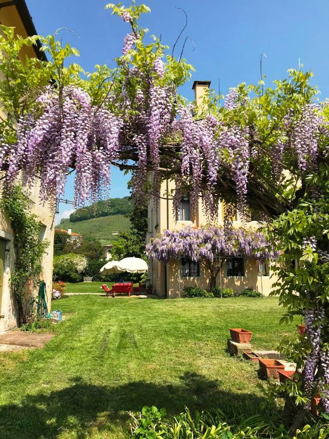 Fiori&Vigne Di Cecilia Marcon Villa Farra di Soligo Eksteriør bilde